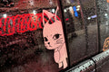 Cartoon cat sticker on a rain-covered car window with city lights in the background