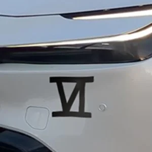 Red Haired Gauntlet Fighter